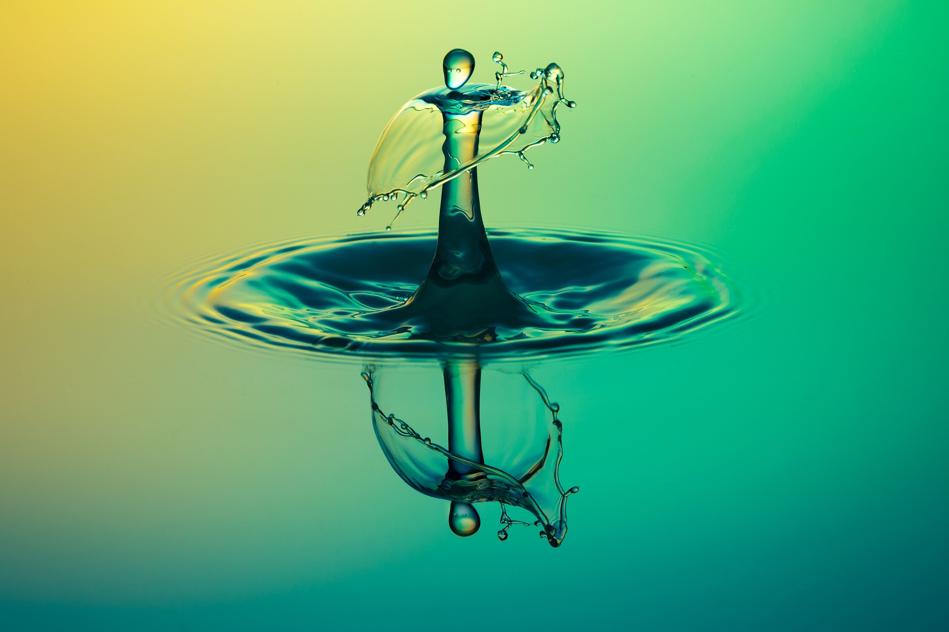 Adoucisseur d&rsquo;eau au CO2 : une eau douce qui garde ses minéraux
